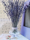 Lọ Hoa Lavender hình sao 1